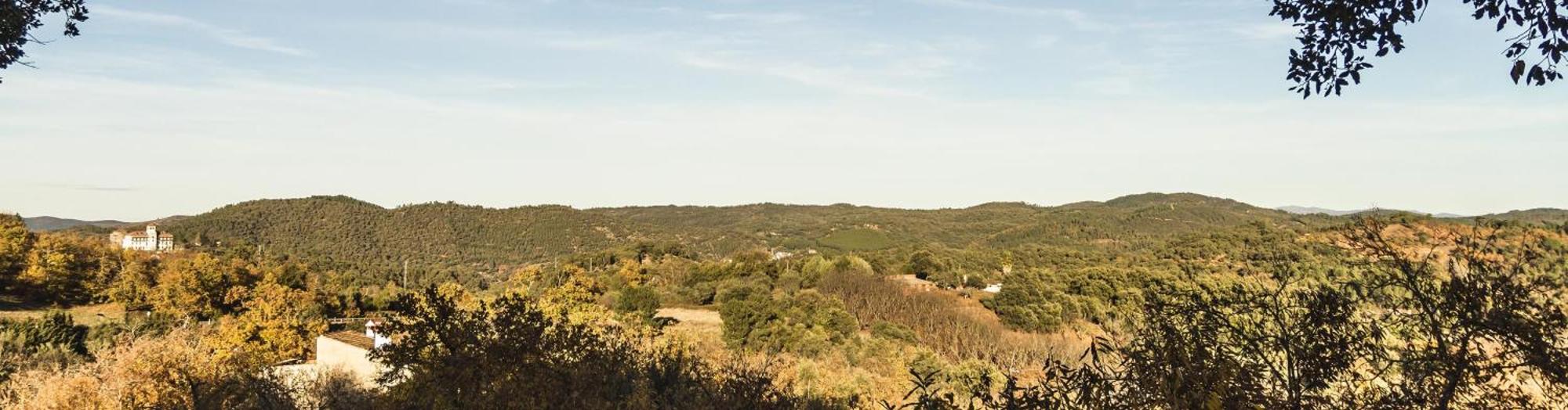 Pozuelo 3