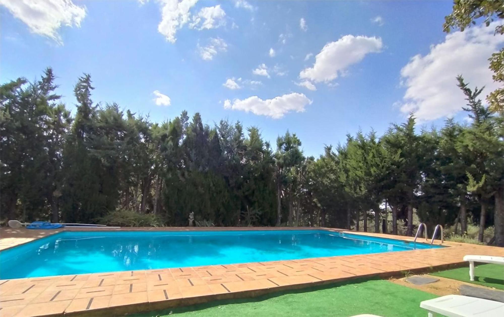 Pozuelo 3 *